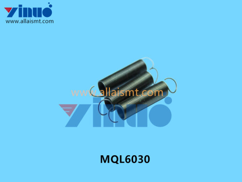 MQL6030 SPRING (3)