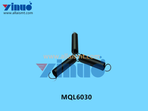 MQL6030 SPRING (4)