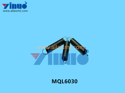 MQL6030 SPRING (5)
