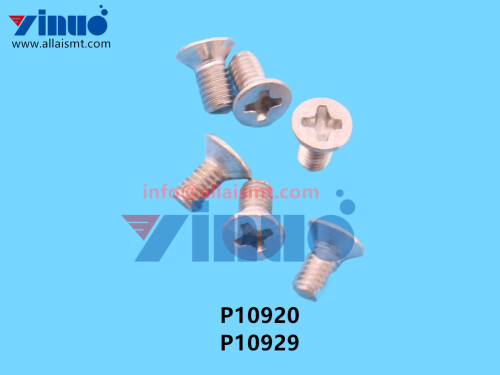 P10920 P10929 NXT SCREW (1)