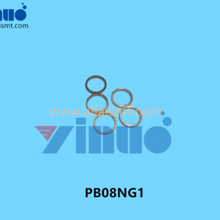 PB08NG1-PCU-BEARING-2