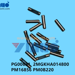 PG00621-2MGKHA014800-PM16856-PM0B220-NXT-V12-Nozzle-rod-4