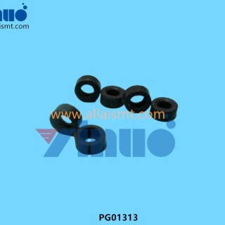 PG01313-PACKING-1