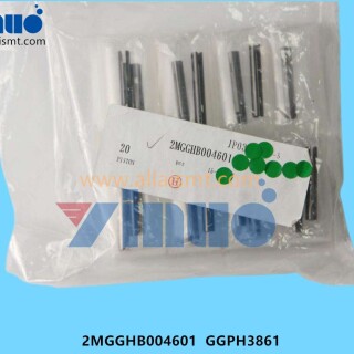 PISTON-2MGGHB004601-GGPH3861-1