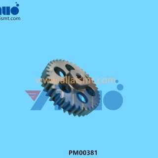 PM00381-GEAR-1