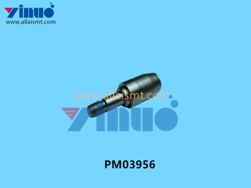 PM03956 NXT ECCENTRIC PIN (1)