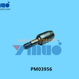 PM03956-NXT-ECCENTRIC-PIN-1