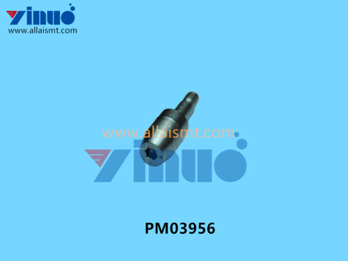 PM03956 NXT ECCENTRIC PIN (2)