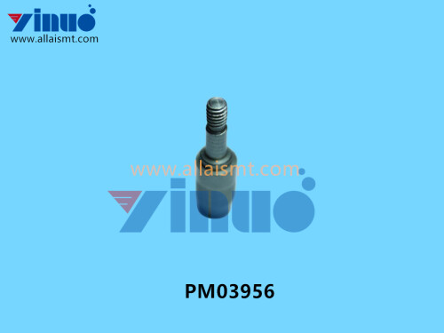 PM03956 NXT ECCENTRIC PIN (3)