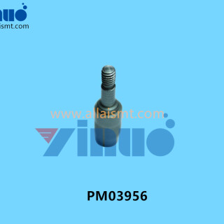 PM03956-NXT-ECCENTRIC-PIN-3