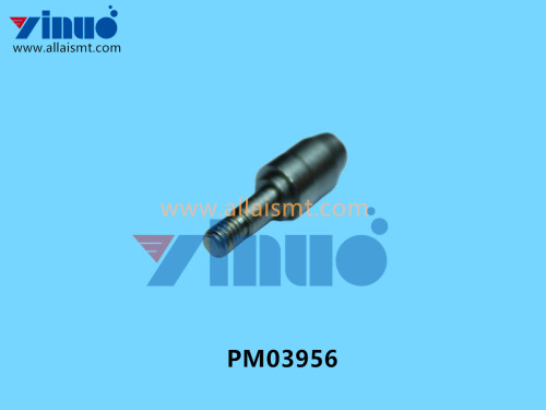 PM03956 NXT ECCENTRIC PIN (4)