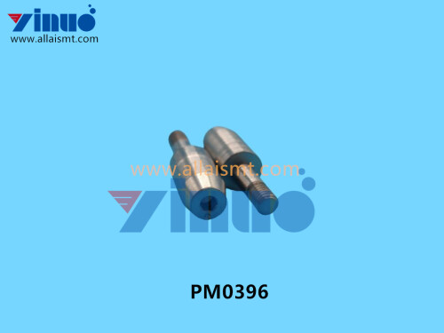 PM0396 Eccentric pin (5)