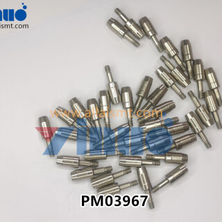 PM03967-FUJI-PINECCENTRIC-1