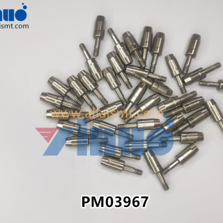 PM03967-FUJI-PINECCENTRIC-2