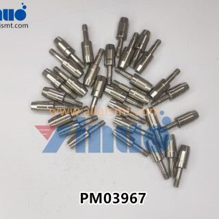 PM03967-FUJI-PINECCENTRIC-3