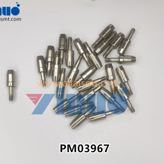 PM03967-FUJI-PINECCENTRIC-4