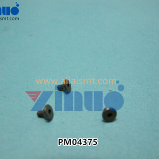 PM04375-PIN-NXT-.