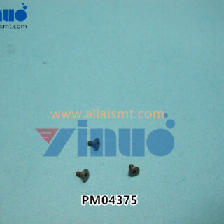 PM04375-PIN-NXT-