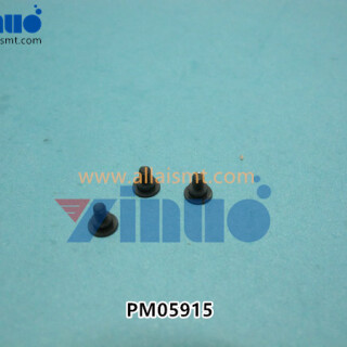 PM05915-PIN-NXT-..