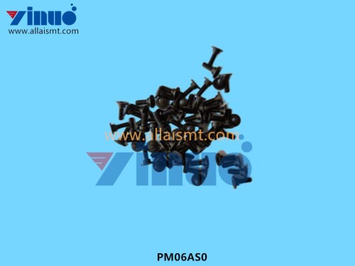 PM06AS0 PIN (1)