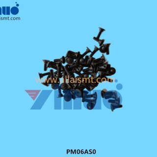 PM06AS0-PIN-1