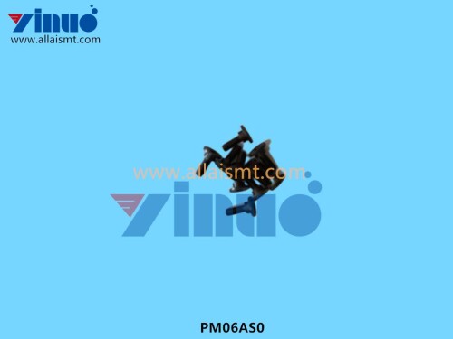 PM06AS0 PIN (3)