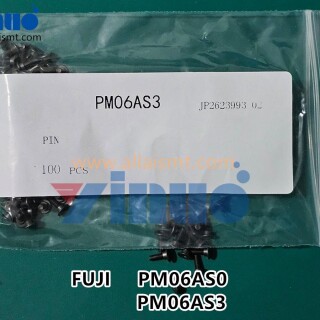 PM06AS3-PIN-PIN-1