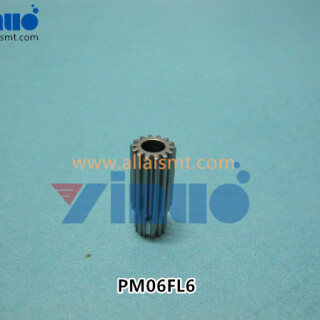 PM06FL6-V12-NXT-..
