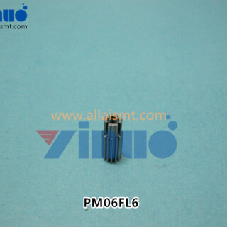 PM06FL6-V12-NXT-.