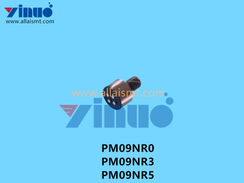 PM09NR0 PM09NR3 PM09NR5 NXT V12 REFFERENCE PIN (1)