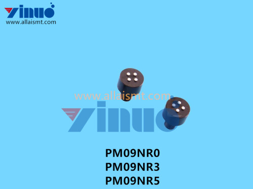 PM09NR0 PM09NR3 PM09NR5 NXT V12 REFFERENCE PIN (2)