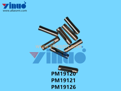 PM19120 PM19121 PM19126 NXT V12 PIN (2)