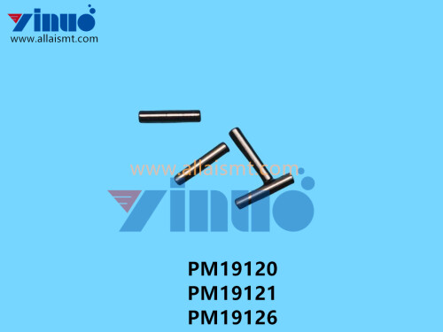PM19120 PM19121 PM19126 NXT V12 PIN (3)