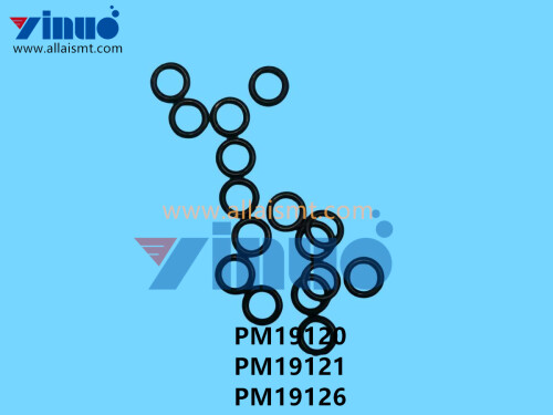 PM19120 PM19121 PM19126 NXT V12 PIN (5)