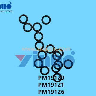 PM19120-PM19121-PM19126-NXT-V12-PIN-5