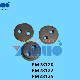 PM28120-PM28122-PM28125-NXT-PIN-1