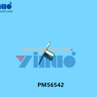 PM56542-FUJI-PIN-1