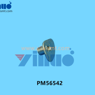 PM56542-FUJI-PIN-2