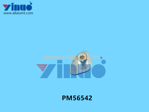 PM56542-FUJI-PIN-3.jpg