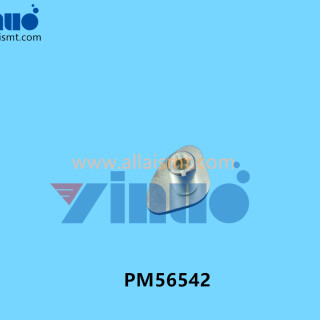 PM56542-FUJI-PIN-3