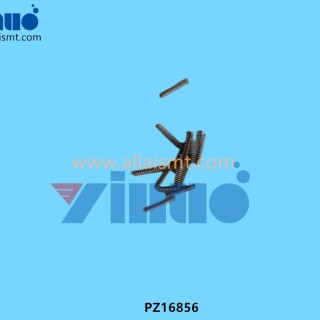 PZ16856-COIL-SPRING-2