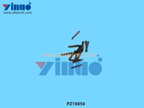 PZ16856 COIL SPRING (3)