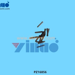 PZ16856-COIL-SPRING-3