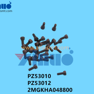 PZ53010-PZ53012-2MGKHA048800-NXT-V12-SCREW-3