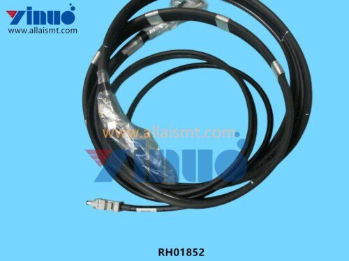RH01852 Harness (1)