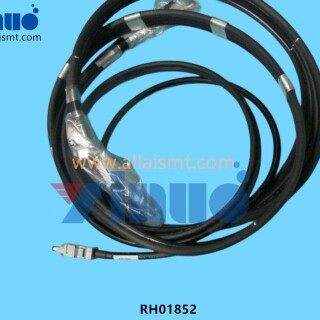 RH01852-Harness-1