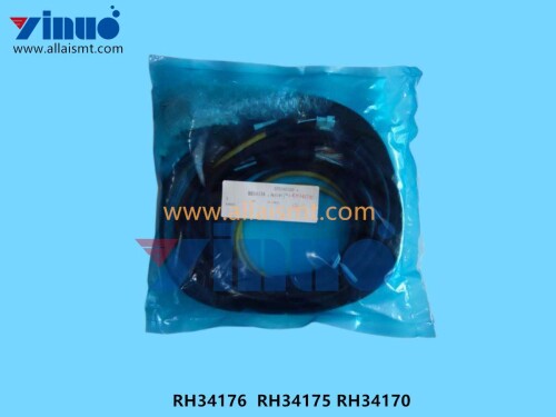RH34176 RH34175 RH34170 Harness (1)