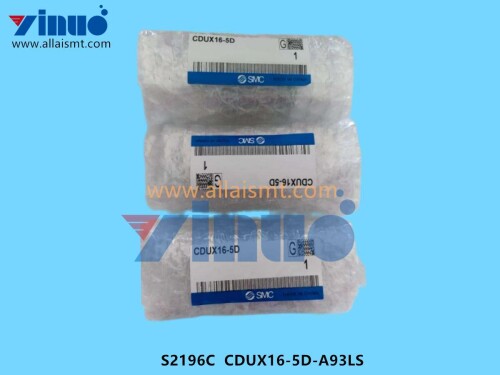 S2196C CDUX16 5D A93LS Cylinder (1)