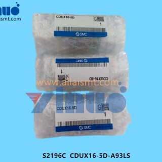 S2196C-CDUX16-5D-A93LS-Cylinder-1