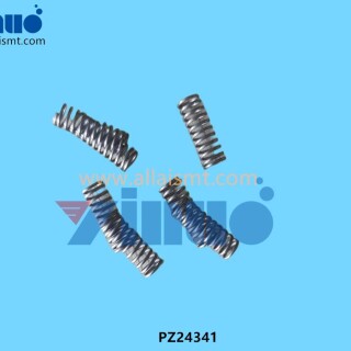 SPRING-PZ24341-1